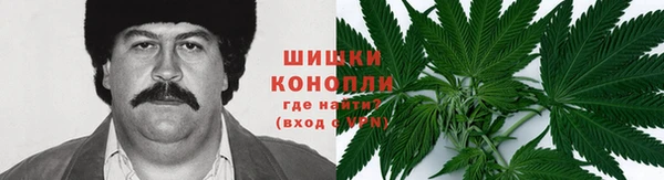 спиды Надым