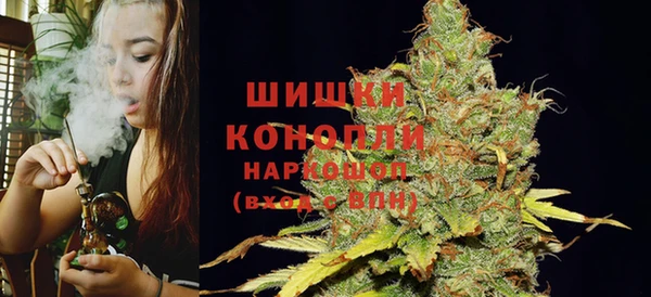 apvp Билибино