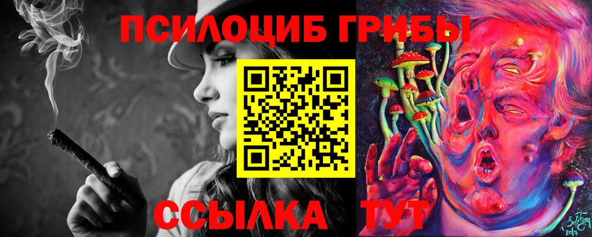 Нарткала  Псилоцибиновые грибы мухоморы  Вход с VPN  Галлюциногенные грибы мицелий 